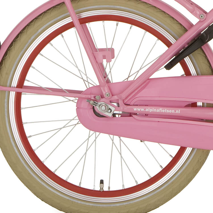 Roue arrière alpina 20 Retirer J19SG Red Zinc Spk