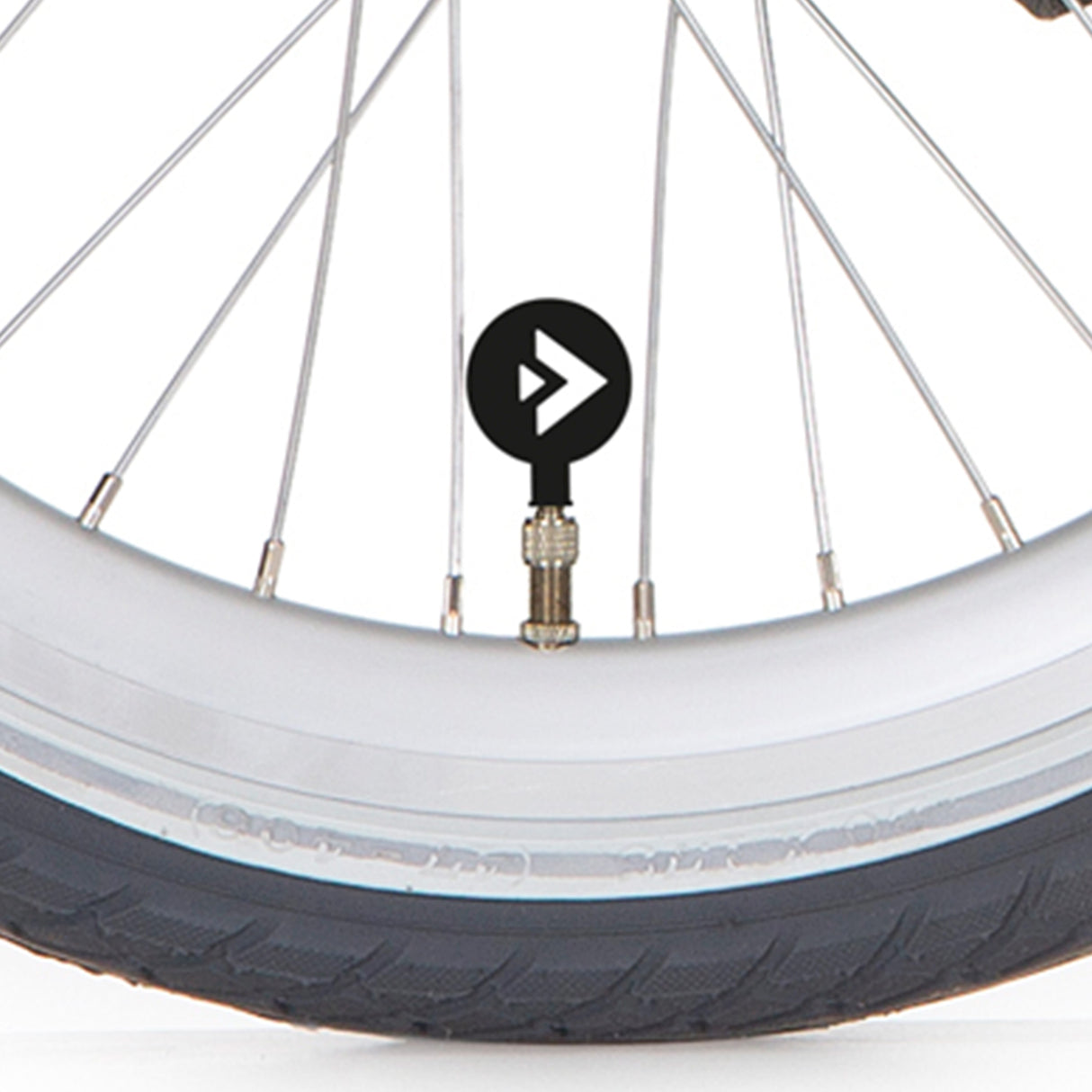 Bouchon de valve Alpina d v avec logo