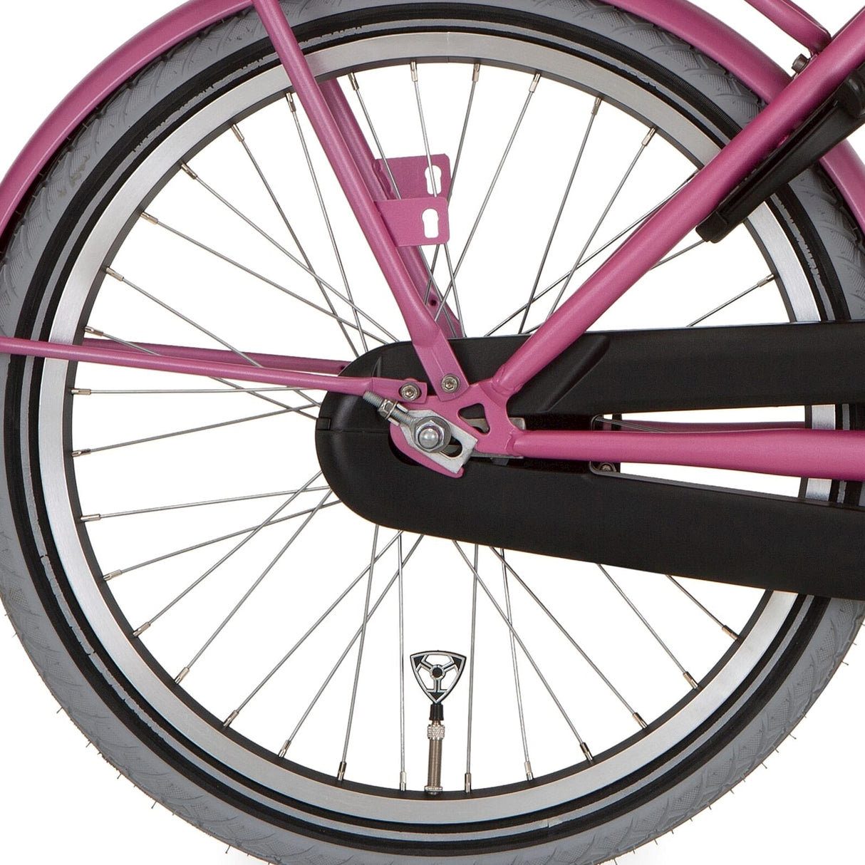 Roue arrière Alpina 22 hlq-10a-1 spk zinc noir