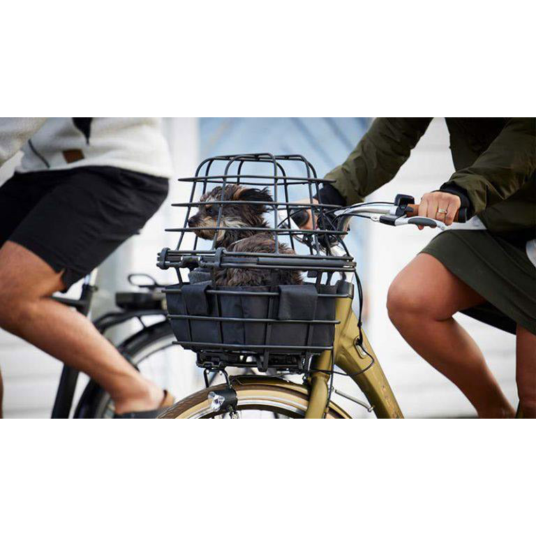 Panier multi-animaux épique Atranvelo argent