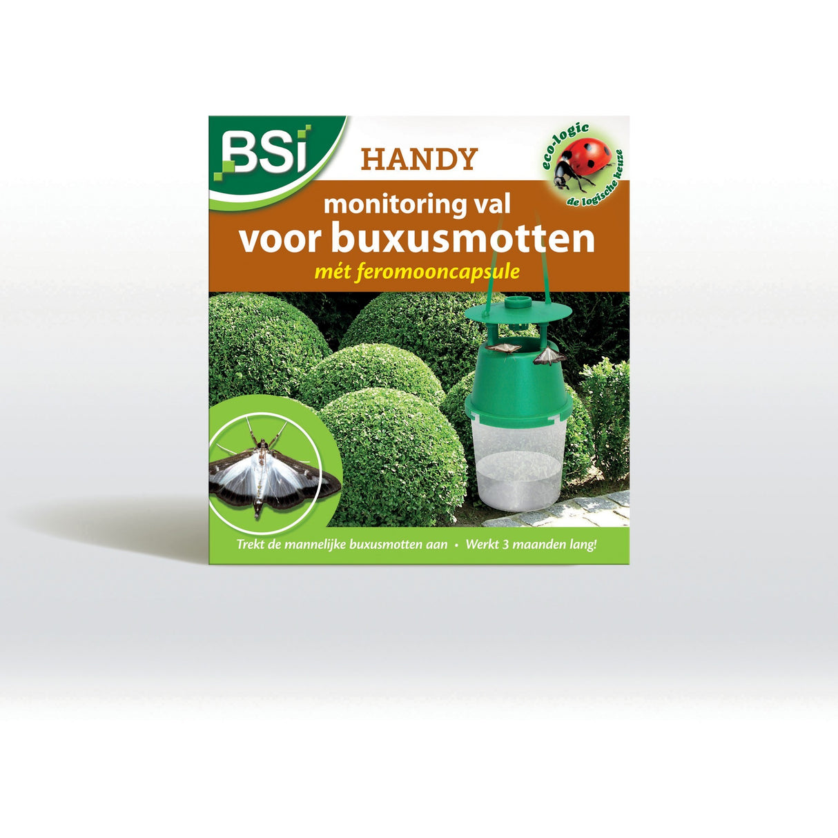 BSI Feromone Trap pour papillon de buis