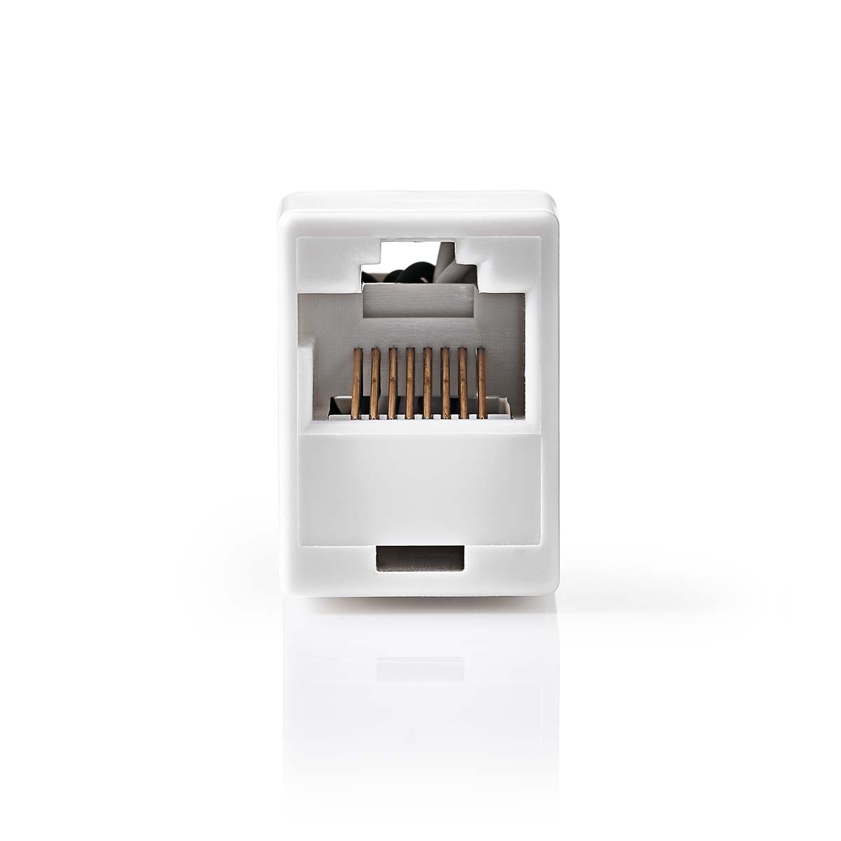 Connexion réseau Nedis | chat5 | non blindé | rj45 femelle | rj45 femelle | à droite | abdos | boîte - ccgb89005wt