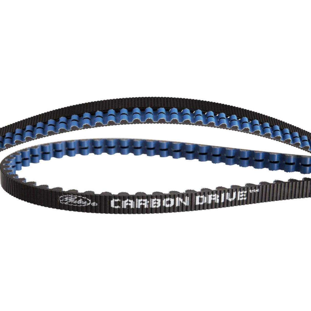 Gates CDX Riem Carbon Drive 111 dents Black Bleu - 1221 mm, pas de 11 mm, 12 mm de large.