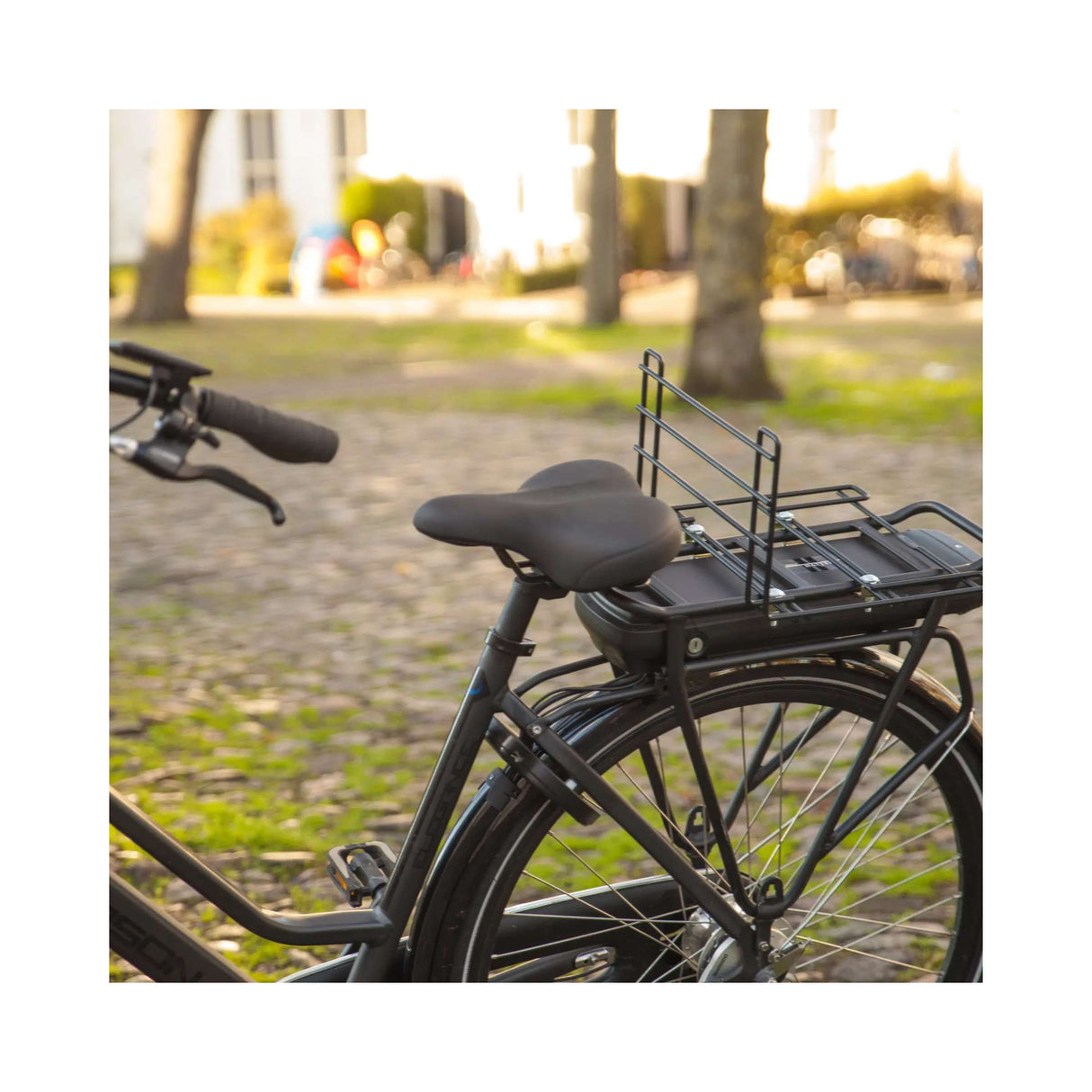 Crotte de rack à bagages noir avec du noir araignée