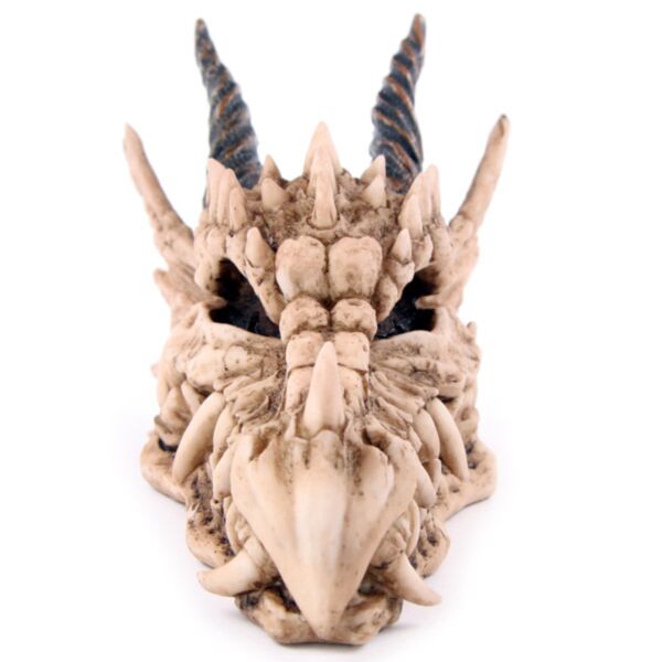 Tirelire crâne de dragon