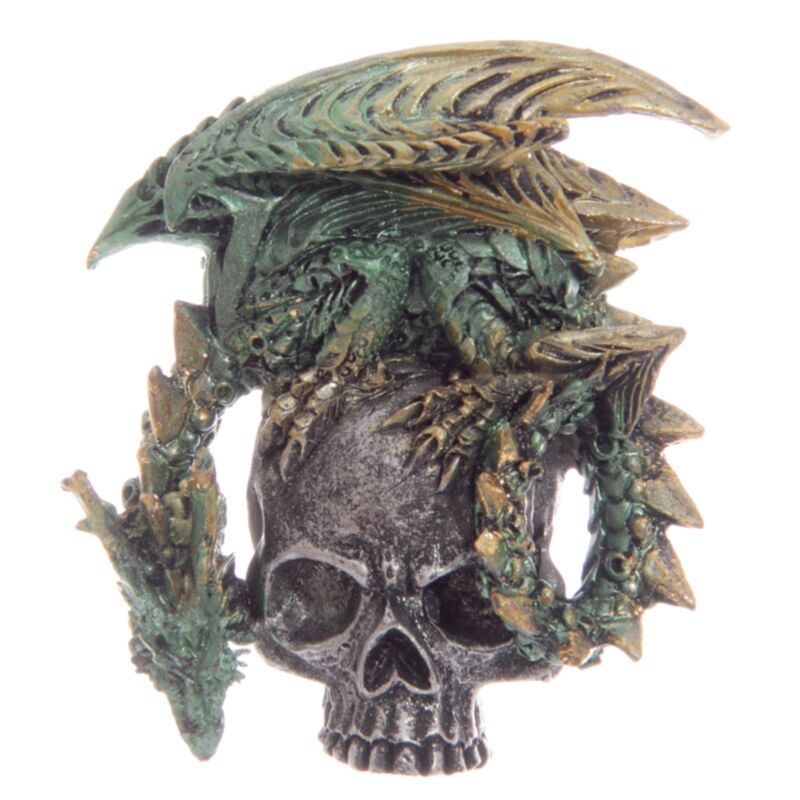 Aimant gothique de crâne de dragon