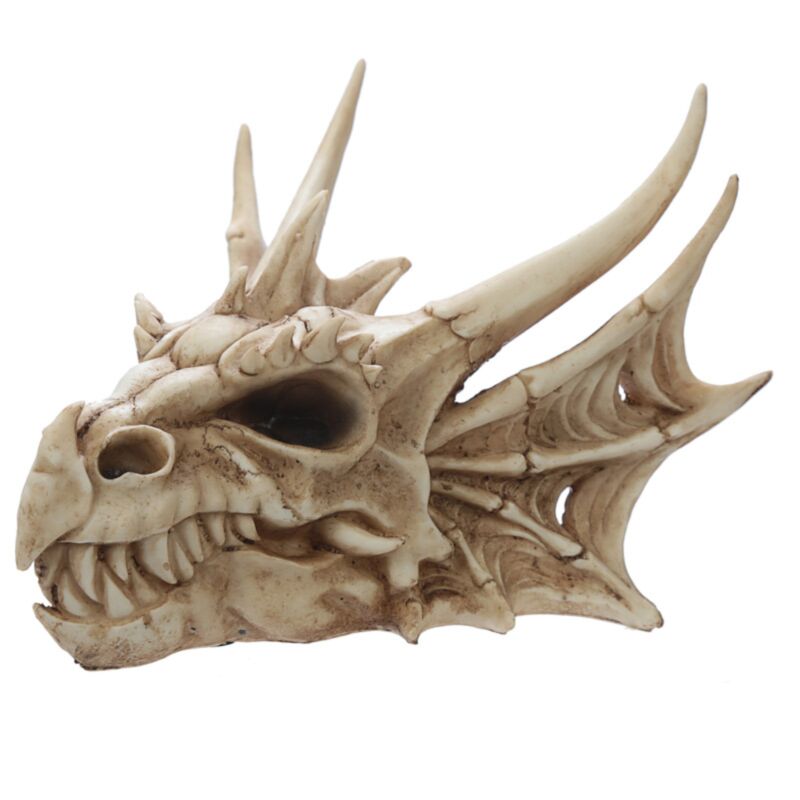 Décoration de crâne de dragon