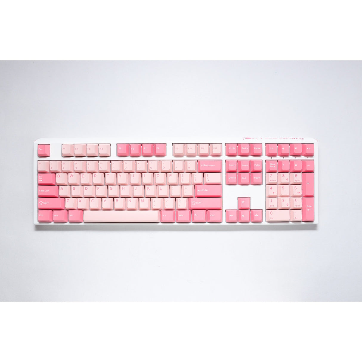 Ducky one 3 Gossamer rose