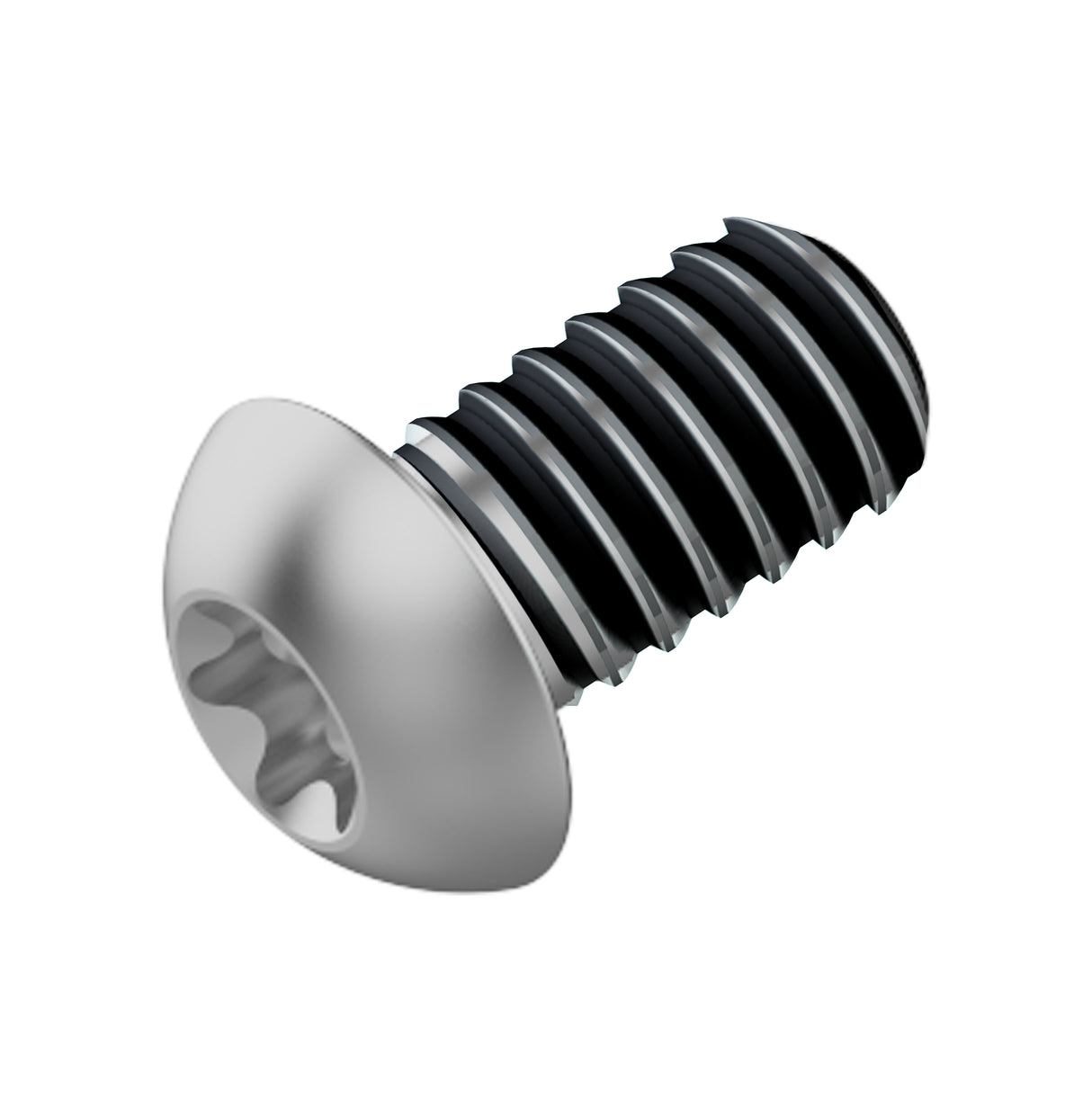 Fahrwerker boulon de disque de frein m5x10 lev tl (120 pièces)