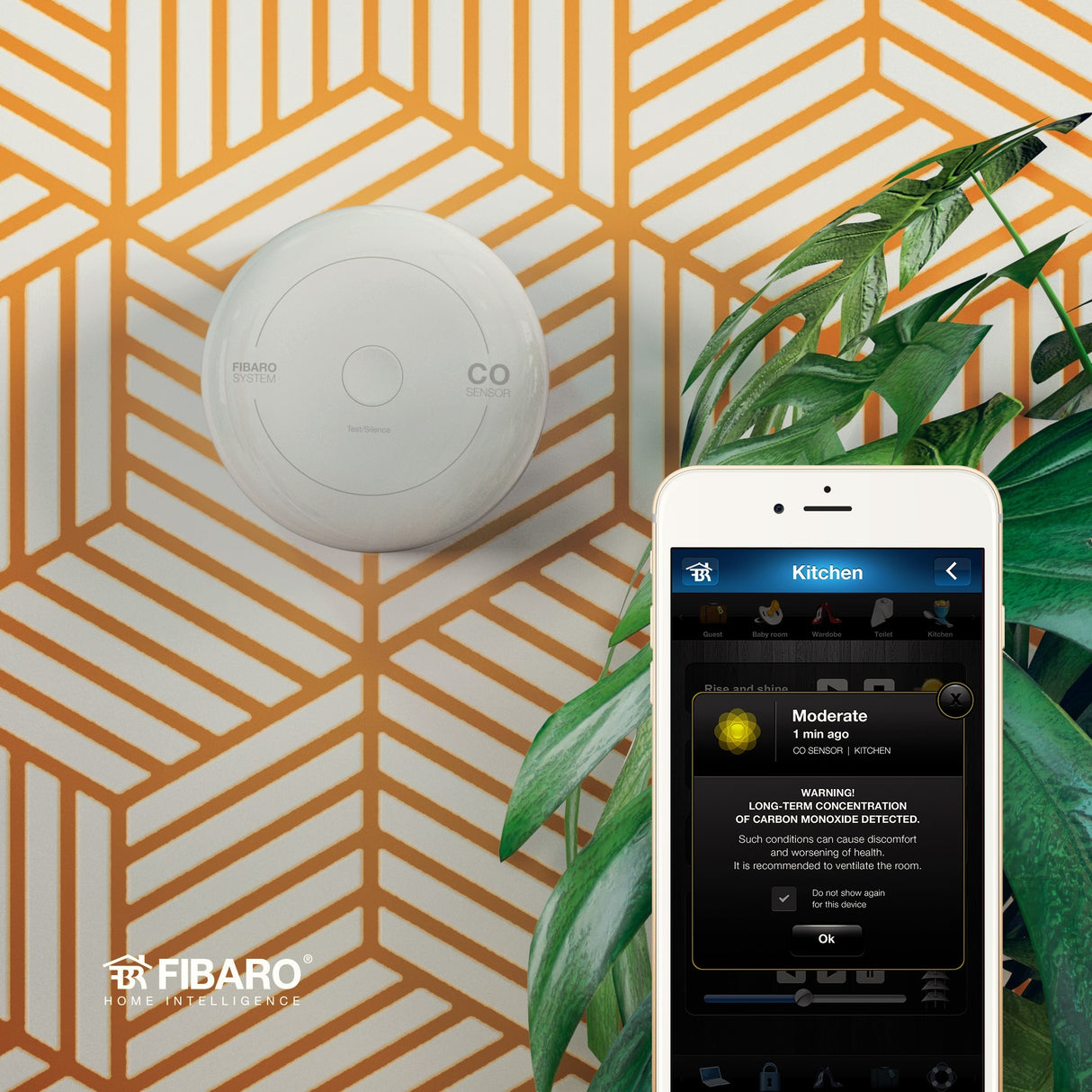 Capteur fibaro co