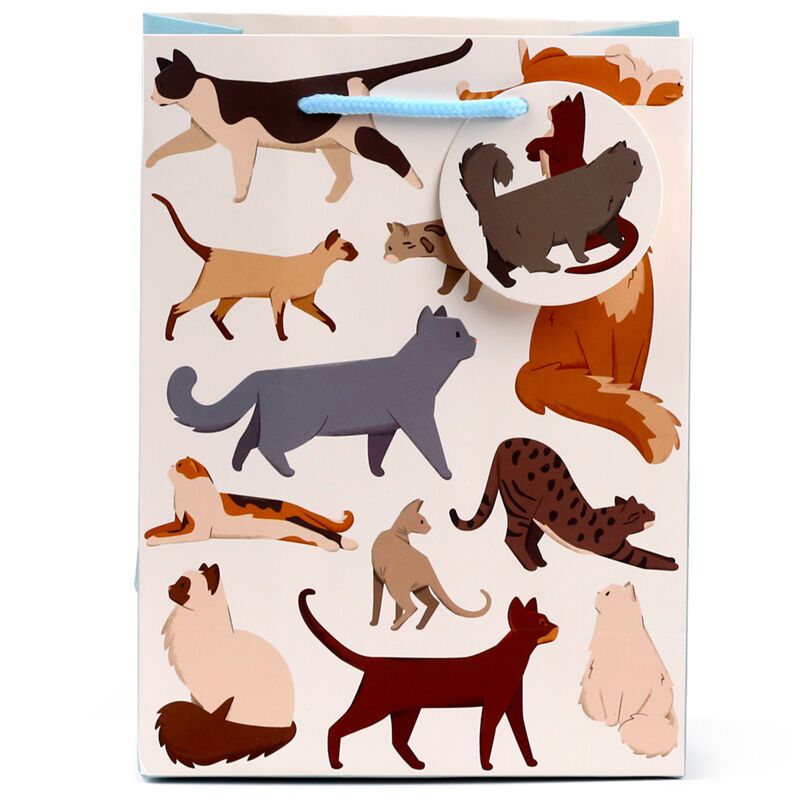 Chats fins félins - sac cadeau moyen