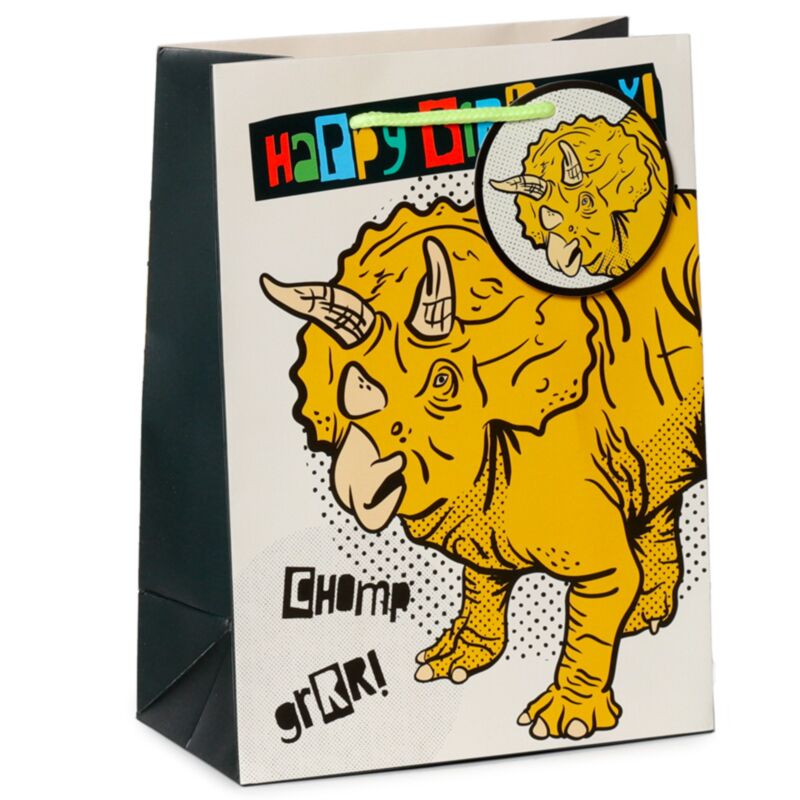 Joyeux anniversaire dinosaures - sac cadeau moyen