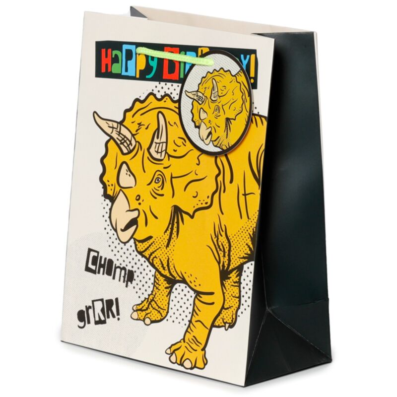 Joyeux anniversaire dinosaures - sac cadeau moyen