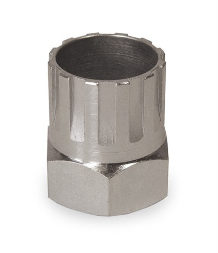 Cyclus inférieur Branch Pawn Client Campagnolo
