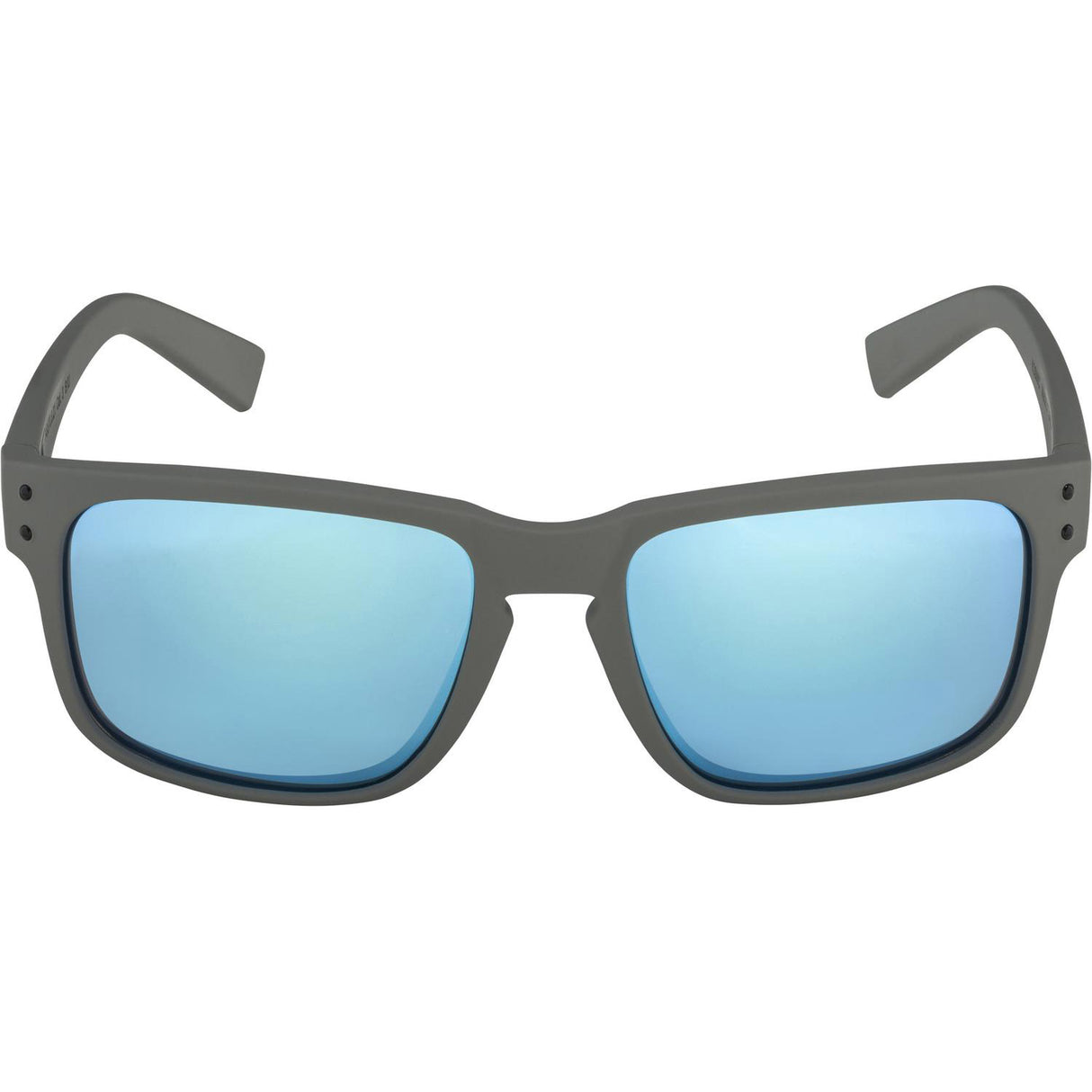 Alpina lunettes de sport gris cosmique