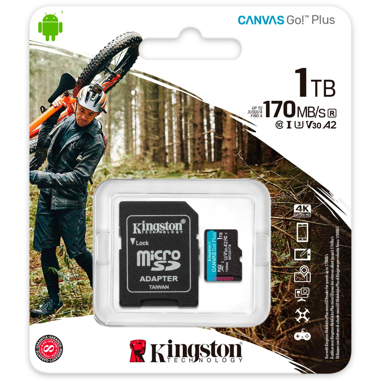 Kingston Canvas Go! Plus microsdxc 1 To