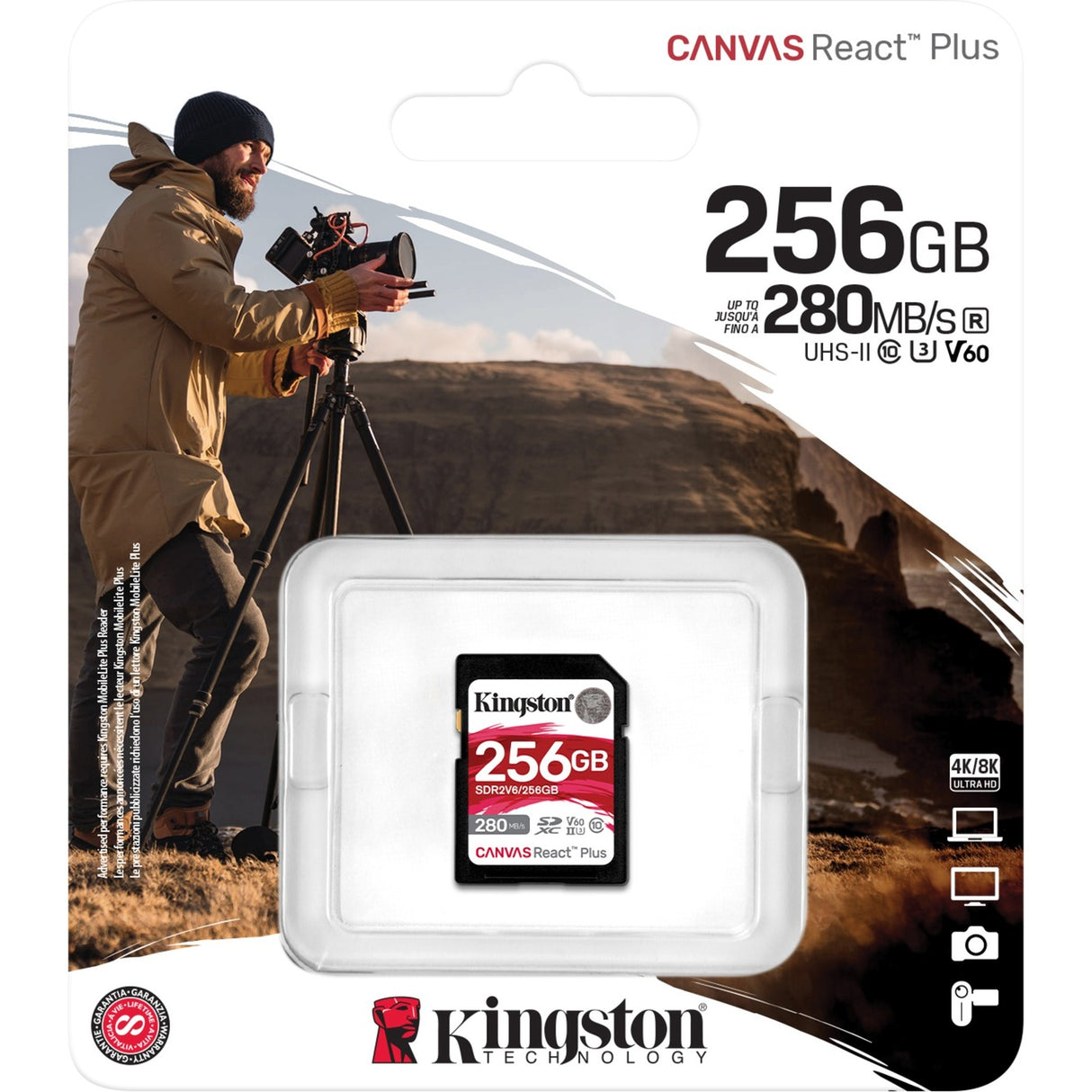 La toile Kingston réagit plus 256 Go