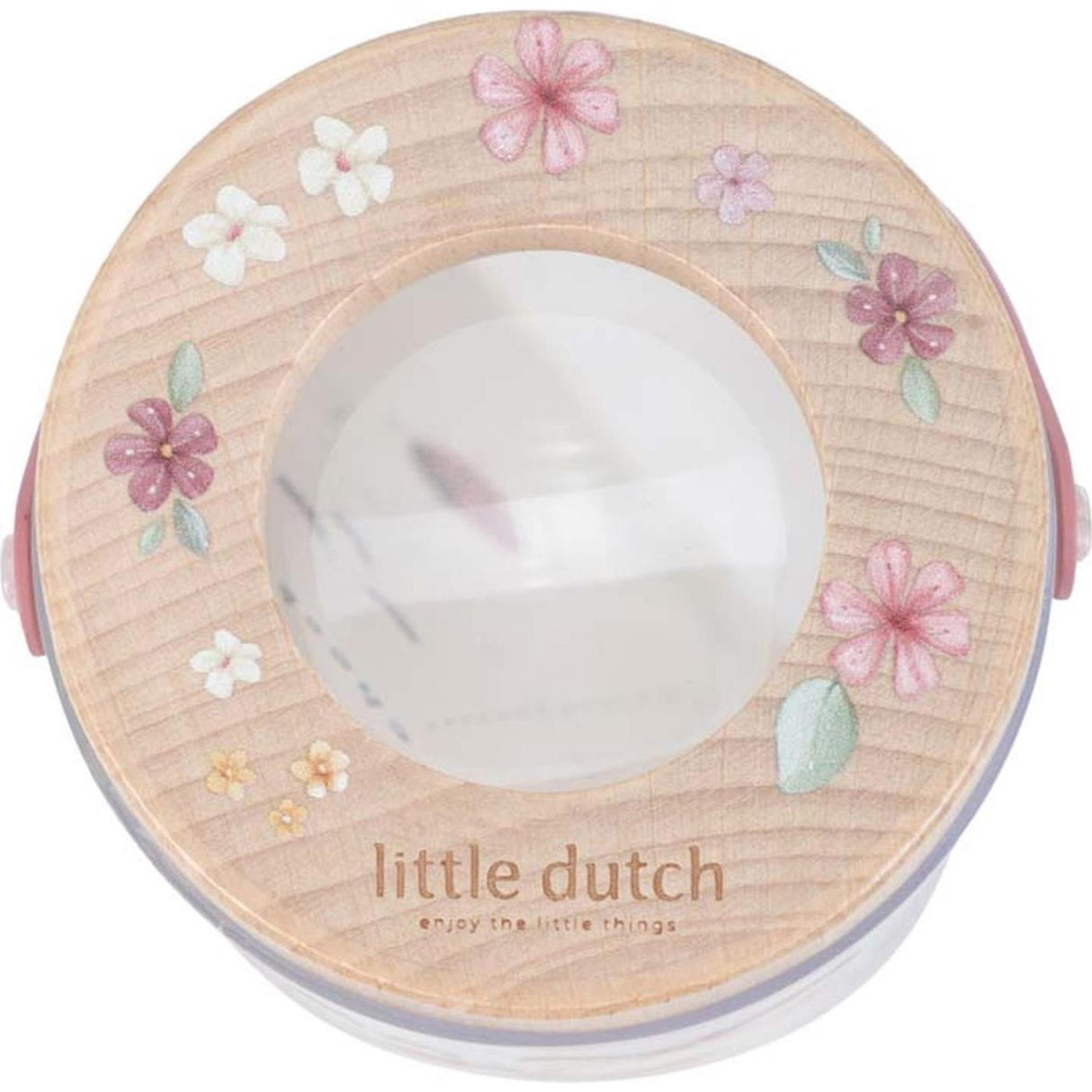 Petit jardin féerique de pot à insectes hollandais