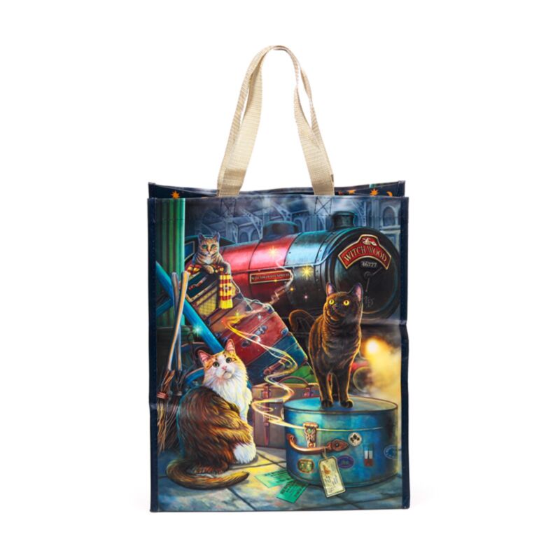 Hoppe Lisa Parker Witchwood Express Cat Sac SR durable
