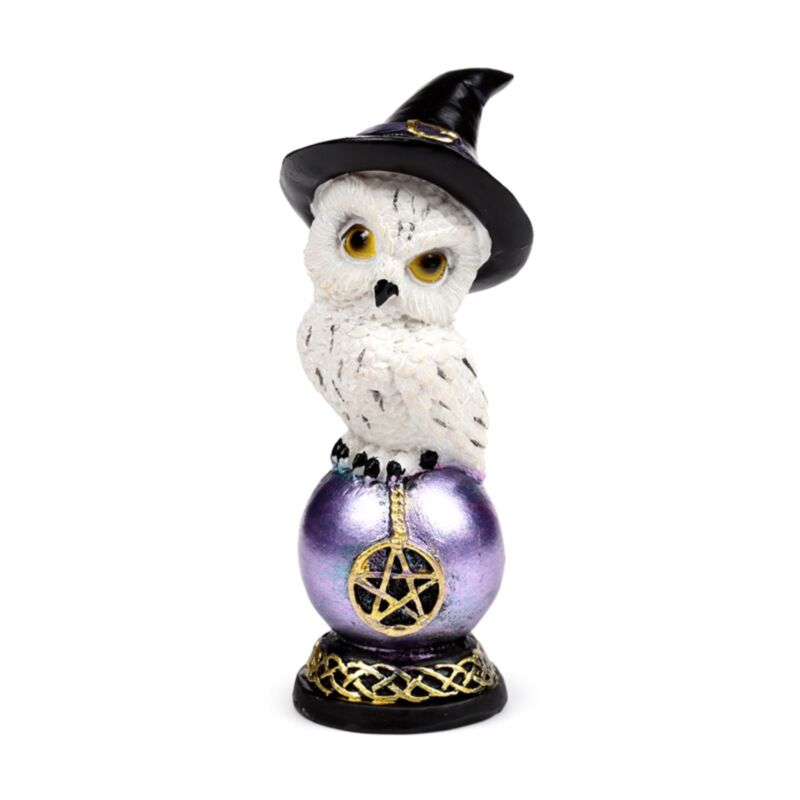 Sage vieux hibou magique sur le hibou brillant arc-en-ciel