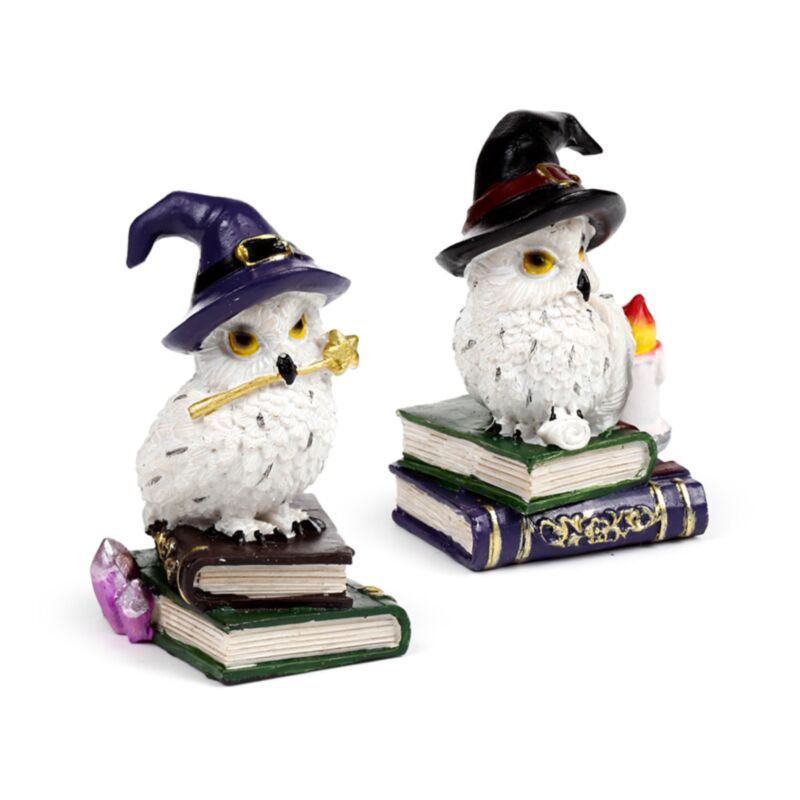 Sage vieux hibou magique sur le livre de sorts