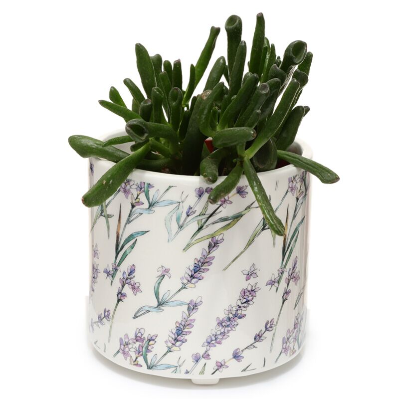 Choix du bouquet de champs de lavande pot de fleurs sur pied d'intérieur - grand