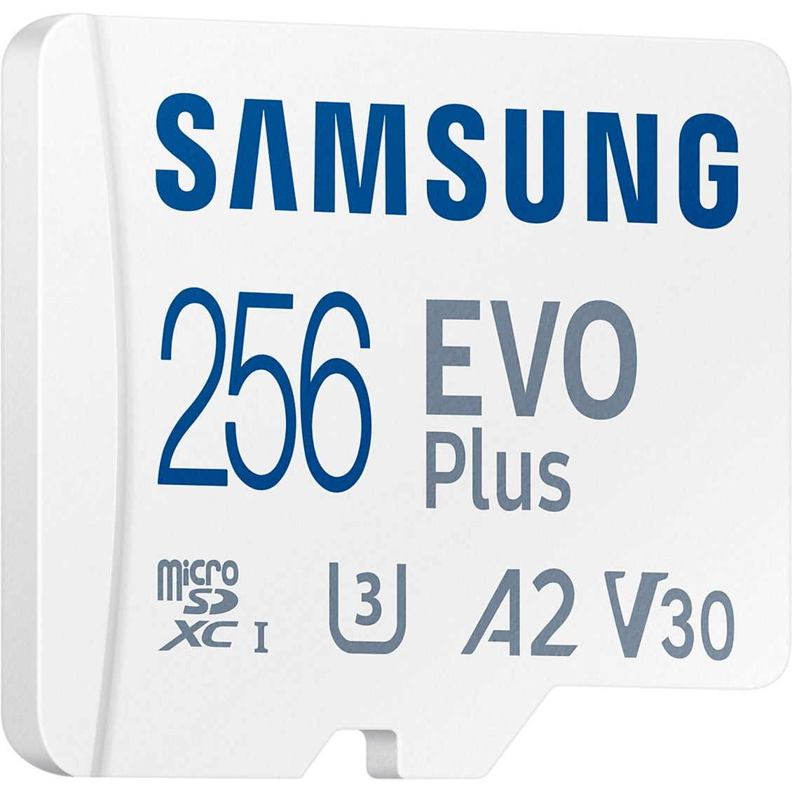SAMSUNG EVO Plus microSDXC (2024), 256 Go