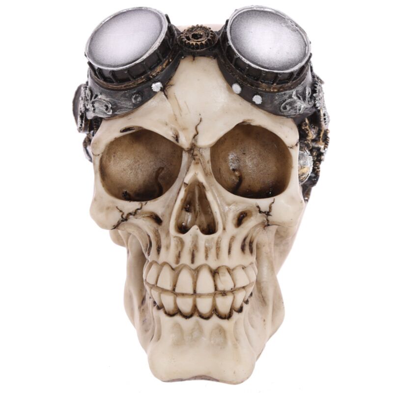 Lunettes de moto Steam punk, accessoire pour la maison