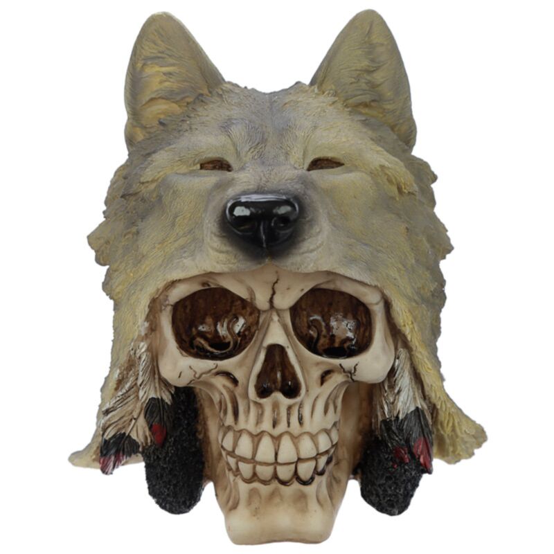 Crâne avec accessoire de maison tête de loup