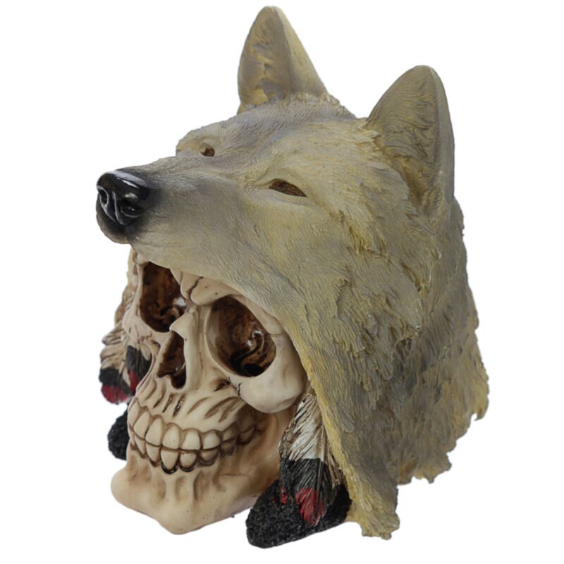 Crâne avec accessoire de maison tête de loup