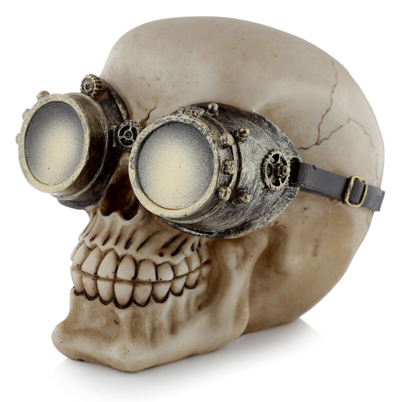 Crâne de style steam punk avec accessoire de maison de lunettes