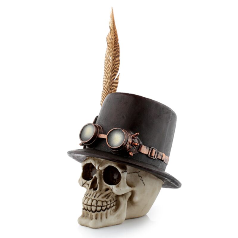 Crâne de style steam punk avec accessoire de maison en plumes de chapeau haut de forme