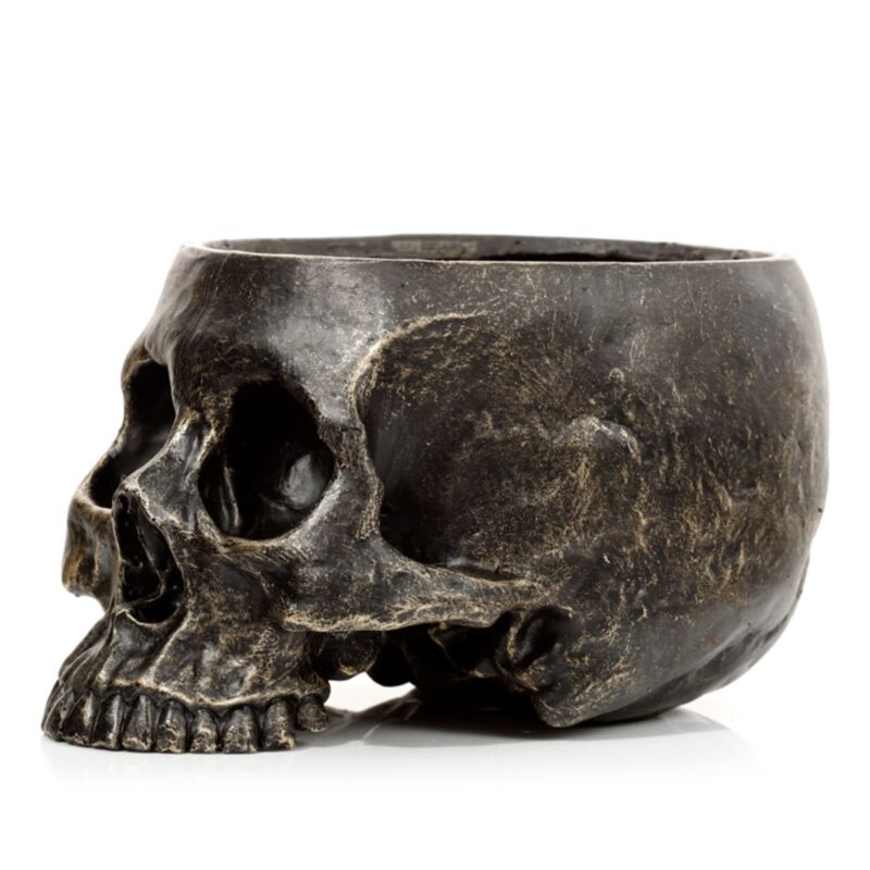 Pot de fleurs tête de mort à l'intérieur