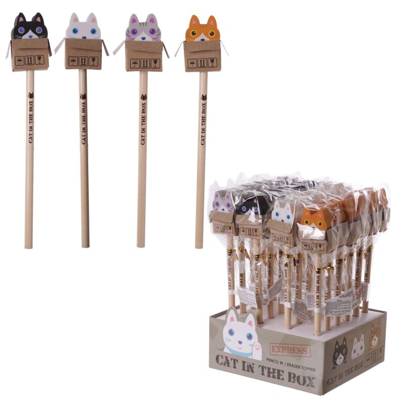 Chat en boîte - crayon gomme