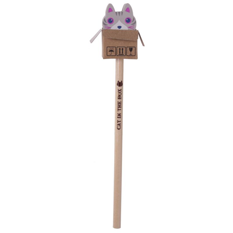 Chat en boîte - crayon gomme