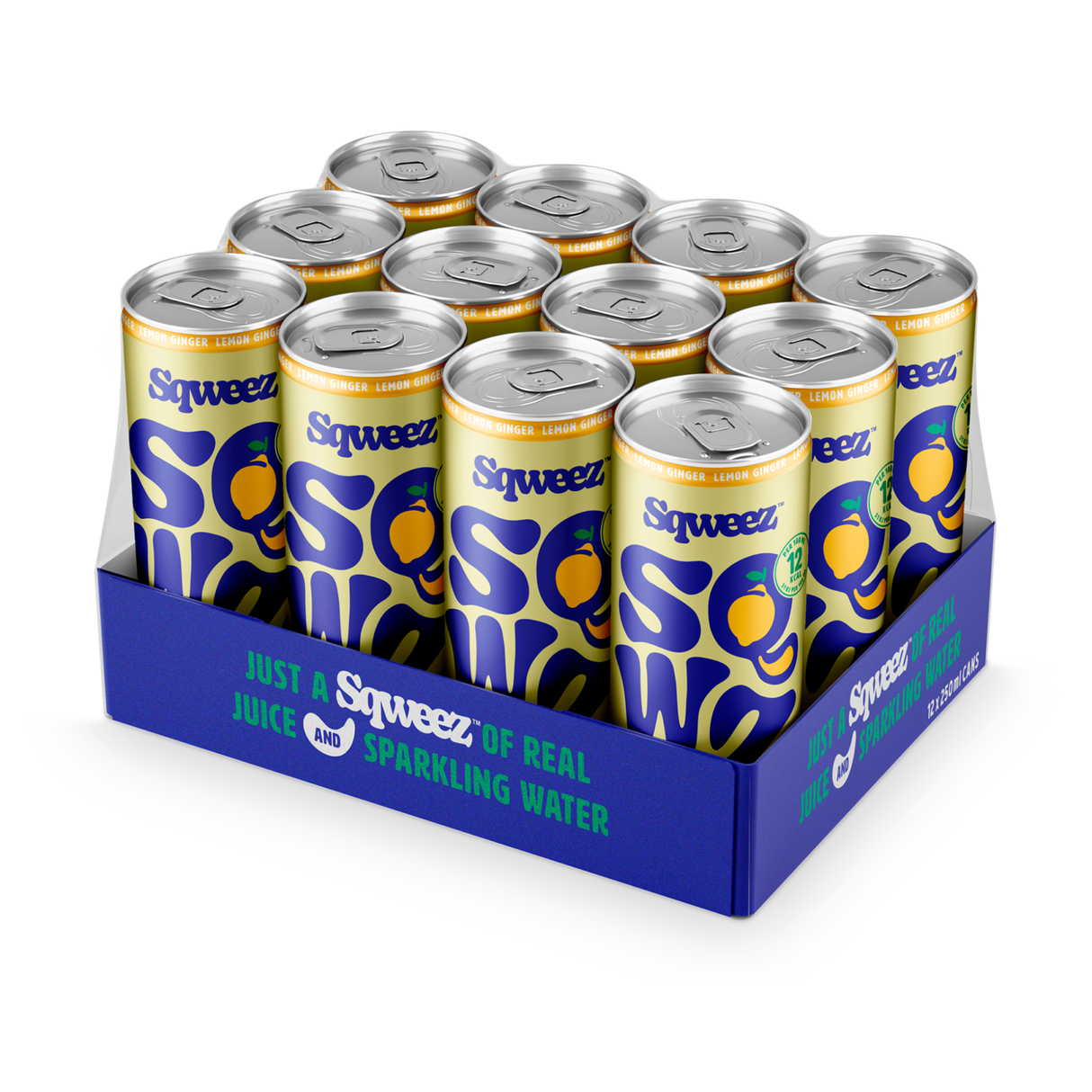 Boîte de conserve de gingembre et citron pressé (12x 250ml)