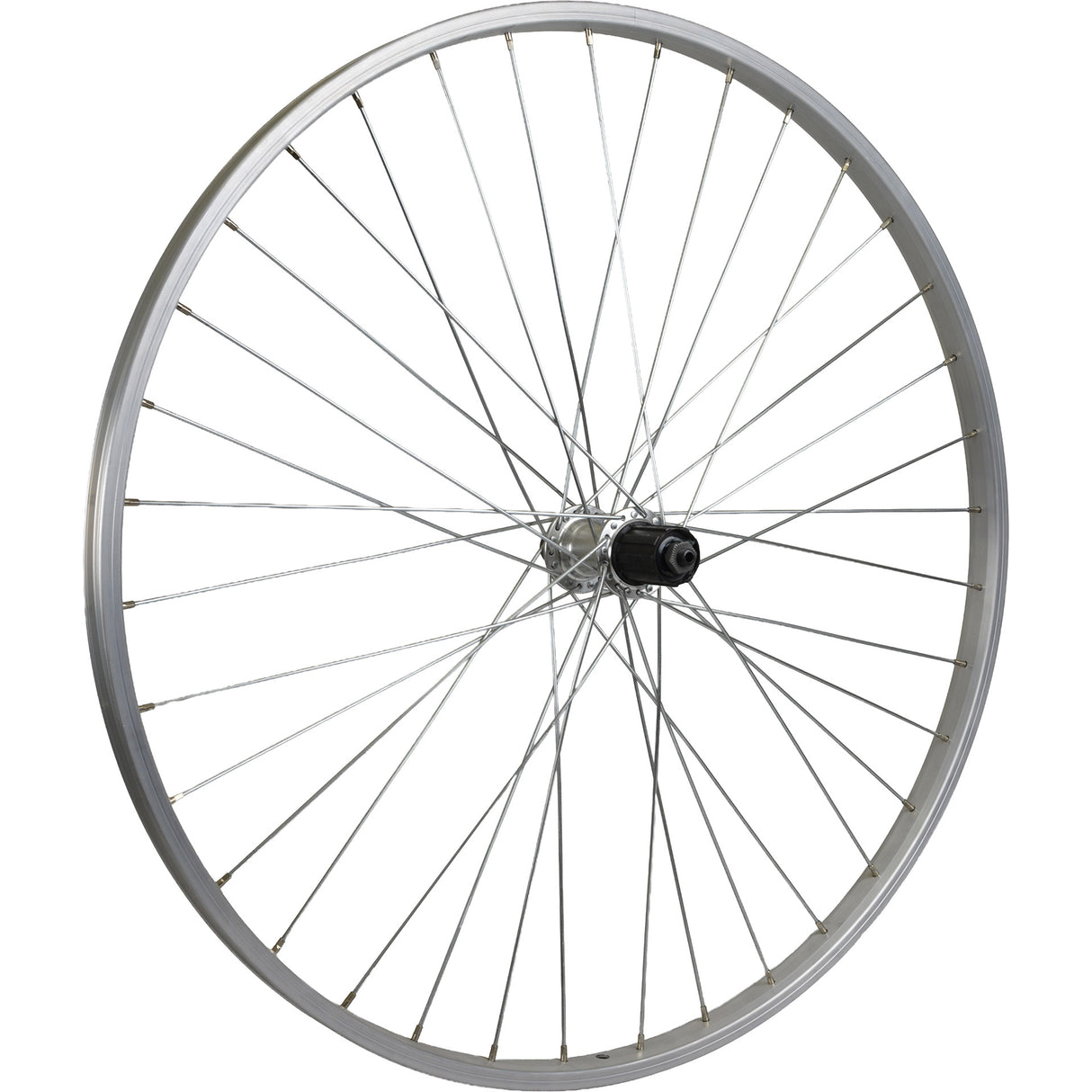 Roland roue arrière mach1 28 8v qr alu argent
