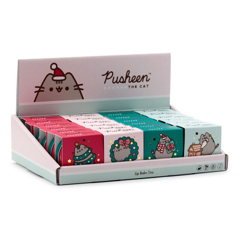 Noël 2023, baume à lèvres pusheen le chat en boîte