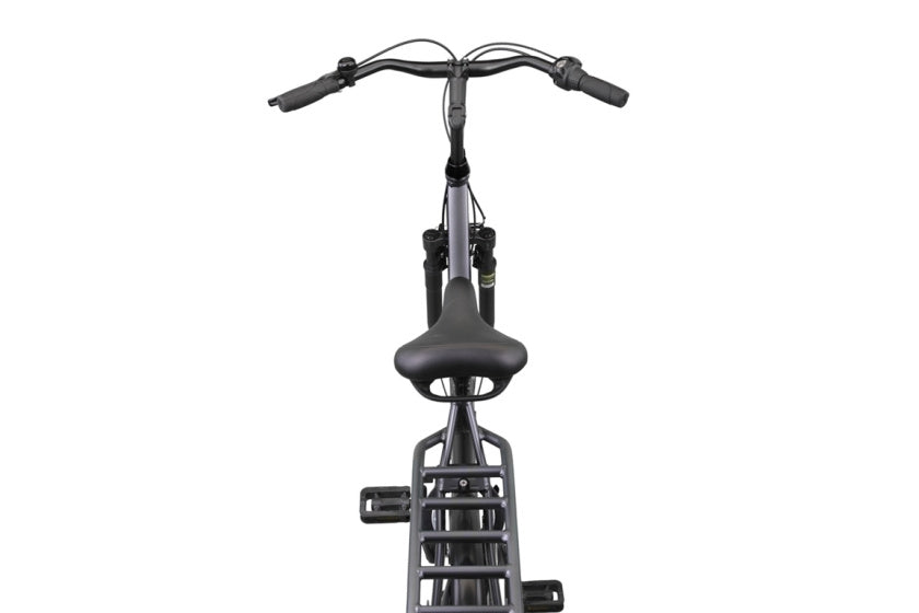 Altec delta 28 pouces 56 cm dames 3sp frein à rouleaux gris mat