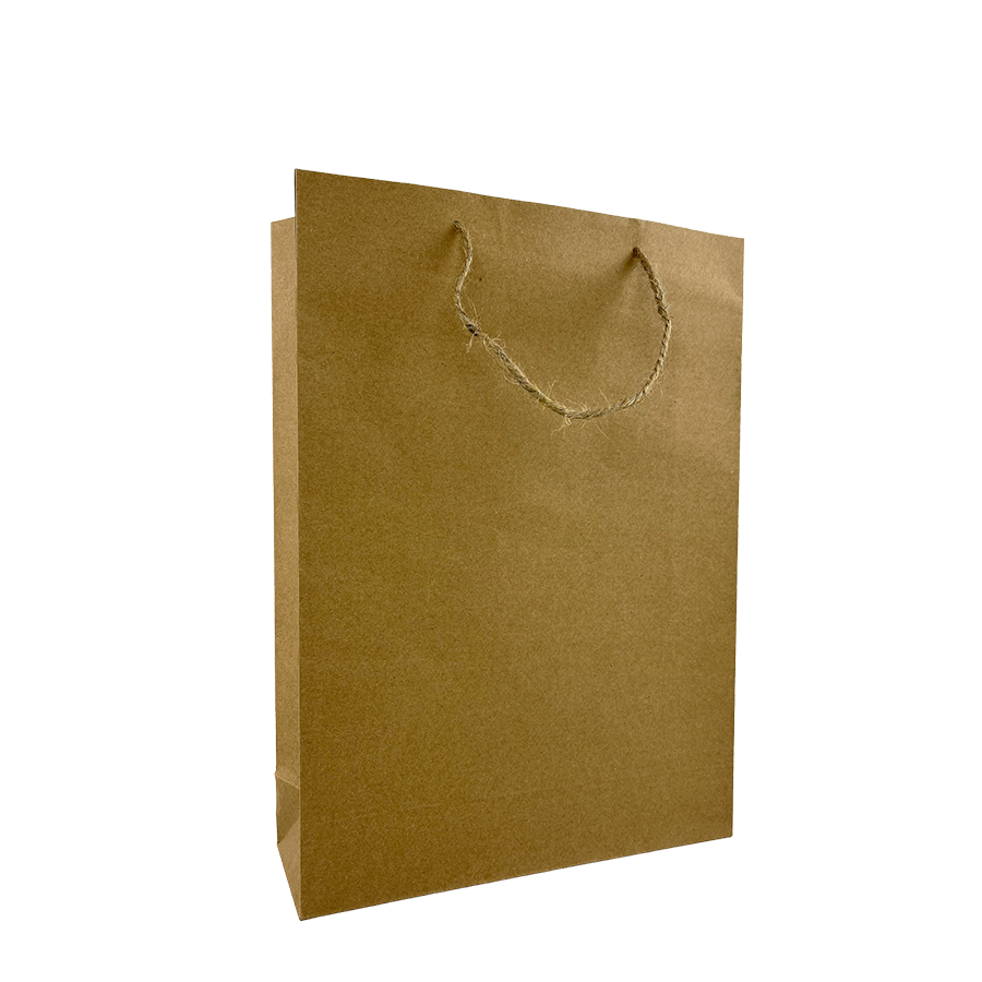 Sac cadeau papier kraft médium