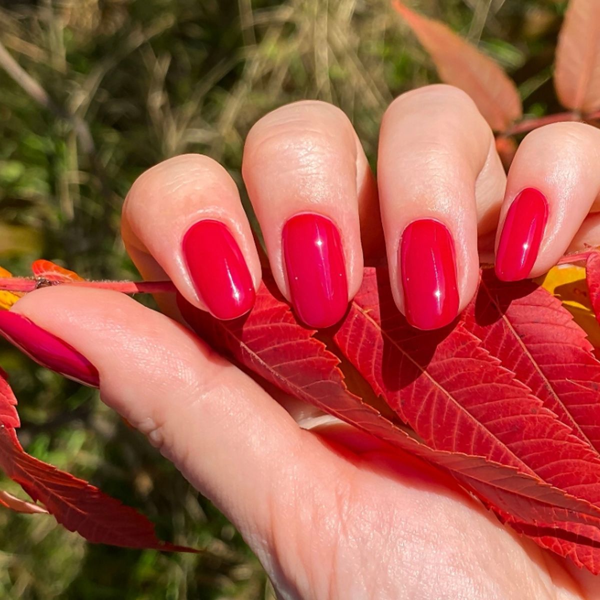Claresa starter set vernis gel sans lampe
