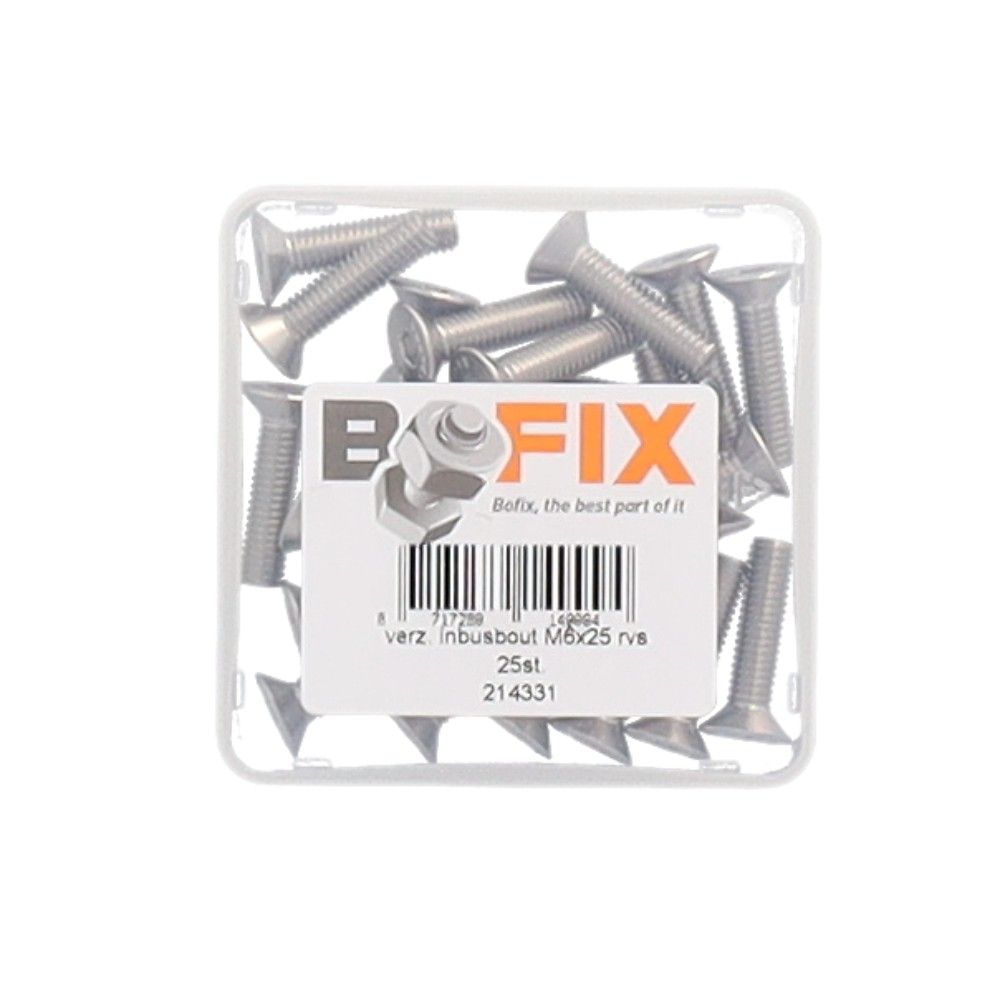 Bofix bout m6x25 torx rvs verz ds a 25
