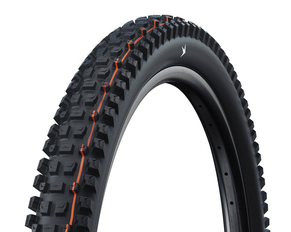 Schwalbe hésita. albert gr 63-584 b b pro doux