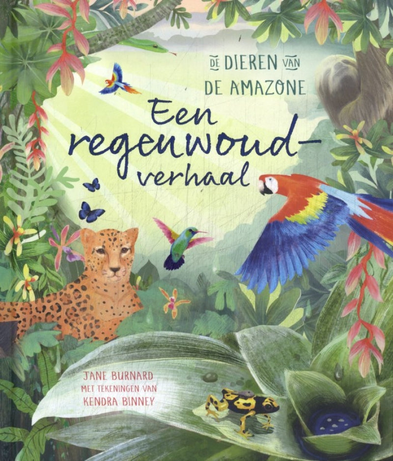 Lemniscaat, une histoire de forêt tropicale