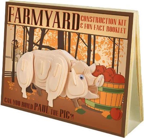 Kit de construction cochon Asmodee en bois