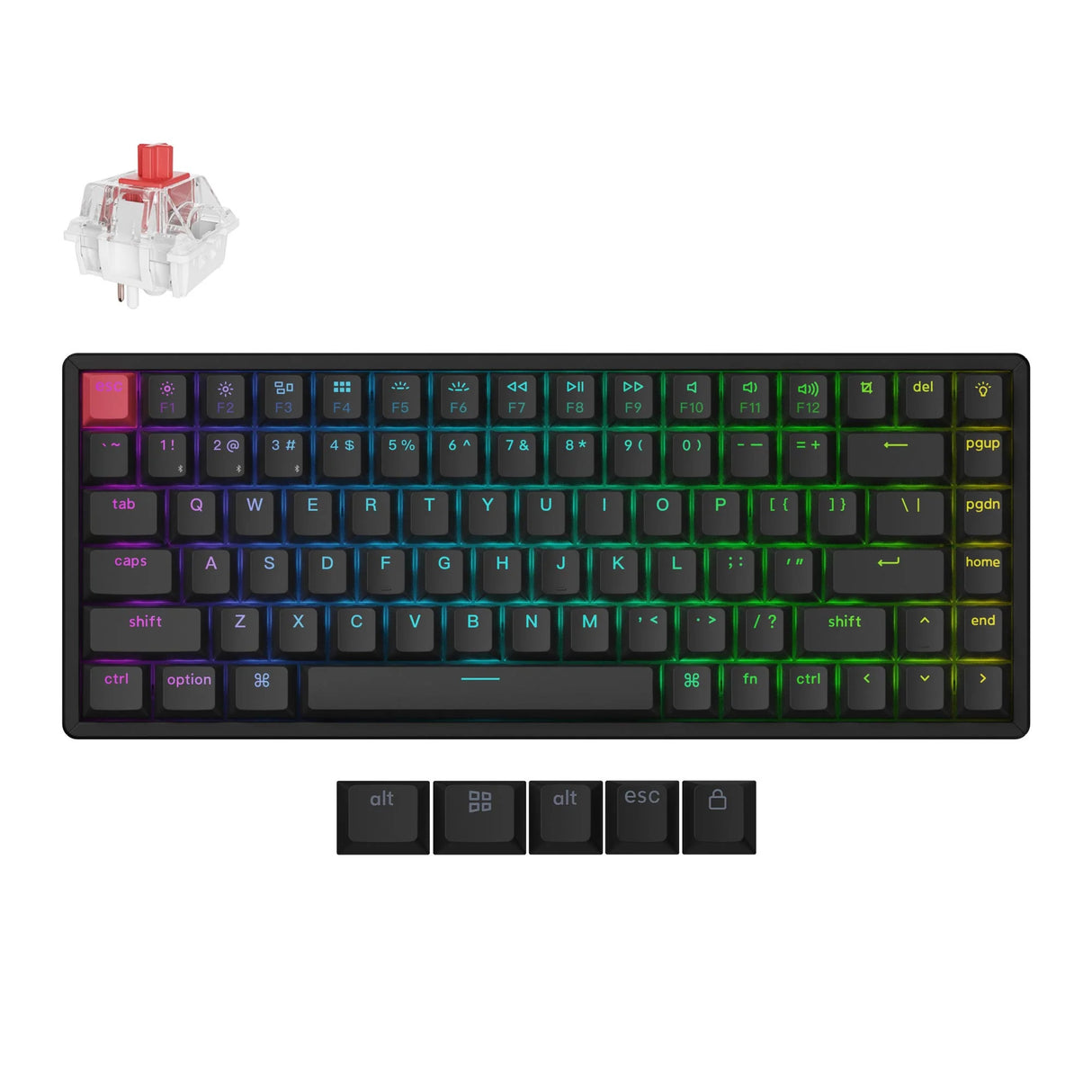 Clavier mécanique Keychron k2 qmk-c1 rgb (noir, disposition américaine (qwerty), super rouge, 75%, rgb, cerise double-shot pbt, bluetooth 5.2 | usb-c)