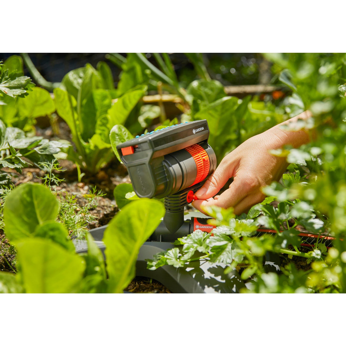 Pulvérisateur pivotant Gardena Aquazoom compact