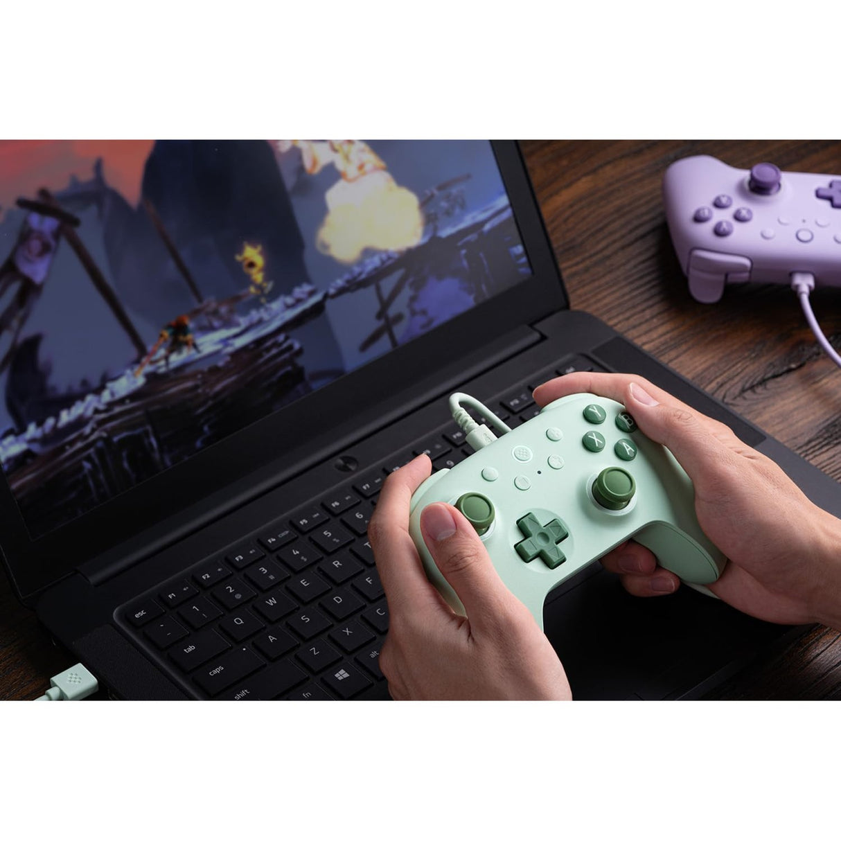 Manette de jeu filaire 8bitdo Ultimate 2C (verte)