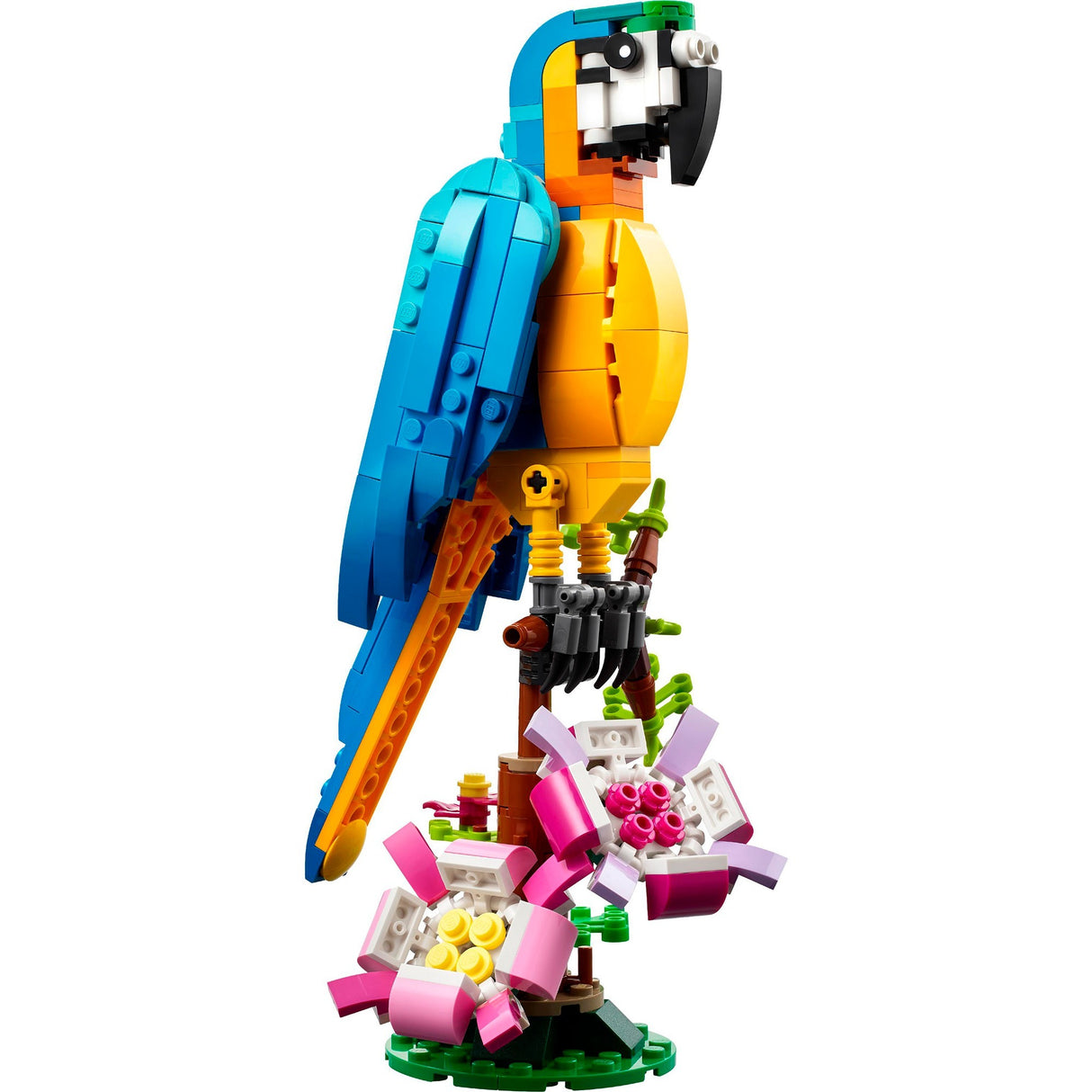 Lego Creator 3en1 perroquet exotique - grenouille - ensemble de jouets animaux poisson pour enfants - 31136