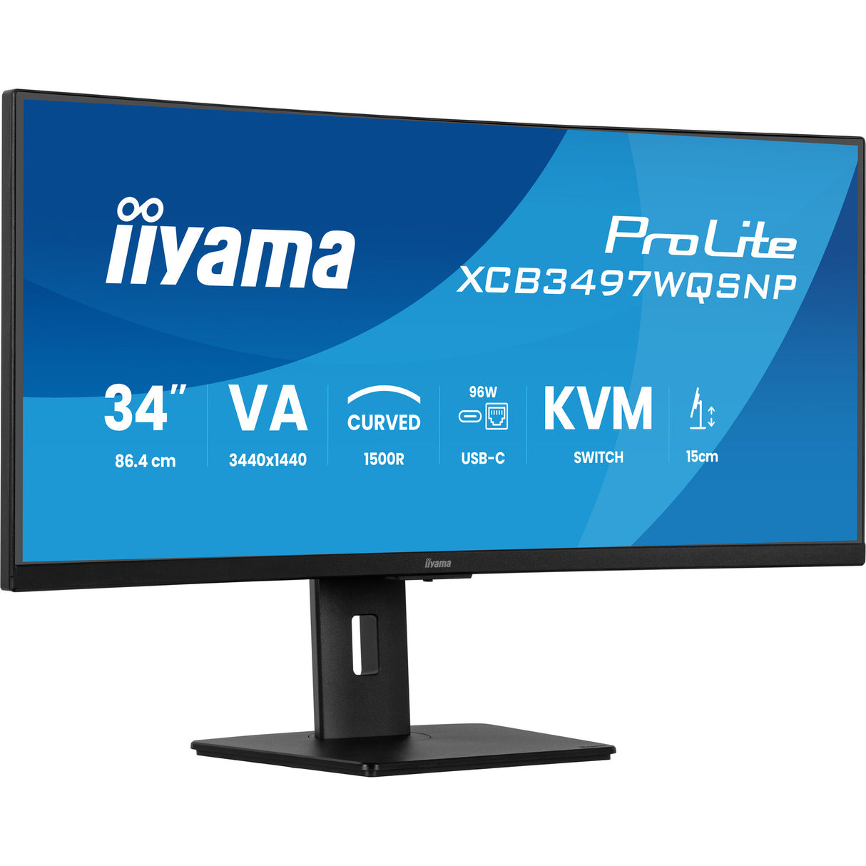 Iiyama Prolite